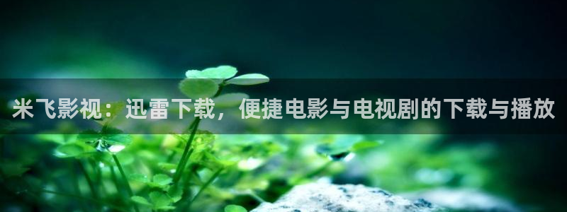 快播看片子