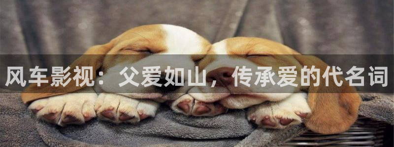 快播电影网在线中文