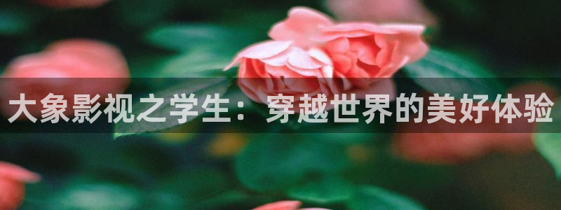 新快播电影